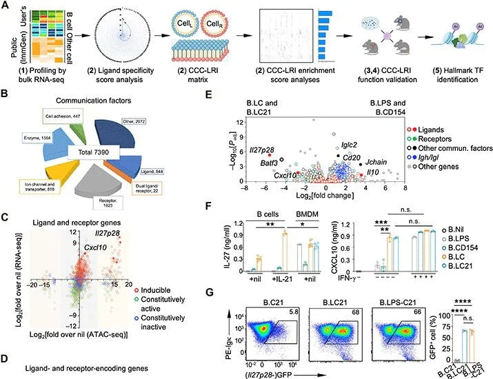 CdXz5zHNQW_1wgdAt4OxA.jpeg