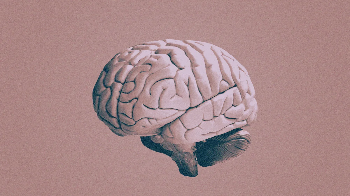 CdXz5zHNQW_6hrrUI4fim.gif