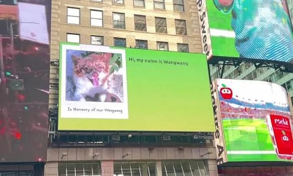 CdXz5zHNQW_7f4GS2jdGk.jpeg