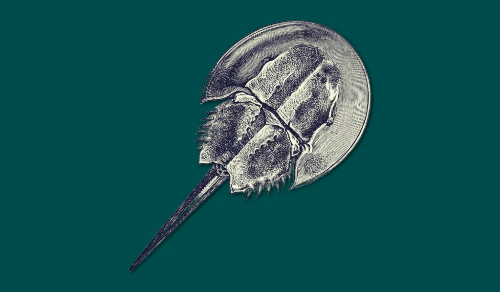 CdXz5zHNQW_7uQGXW3we8.png