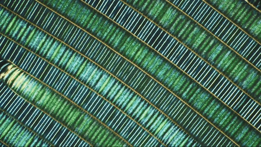 CdXz5zHNQW_BmegmSxg8j.gif