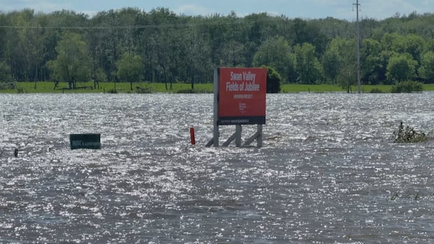 CdXz5zHNQW_HtedtKFsie.jpeg