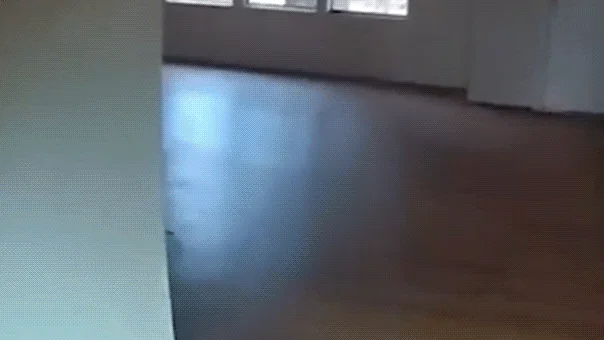CdXz5zHNQW_K70NZ5KTkT.gif