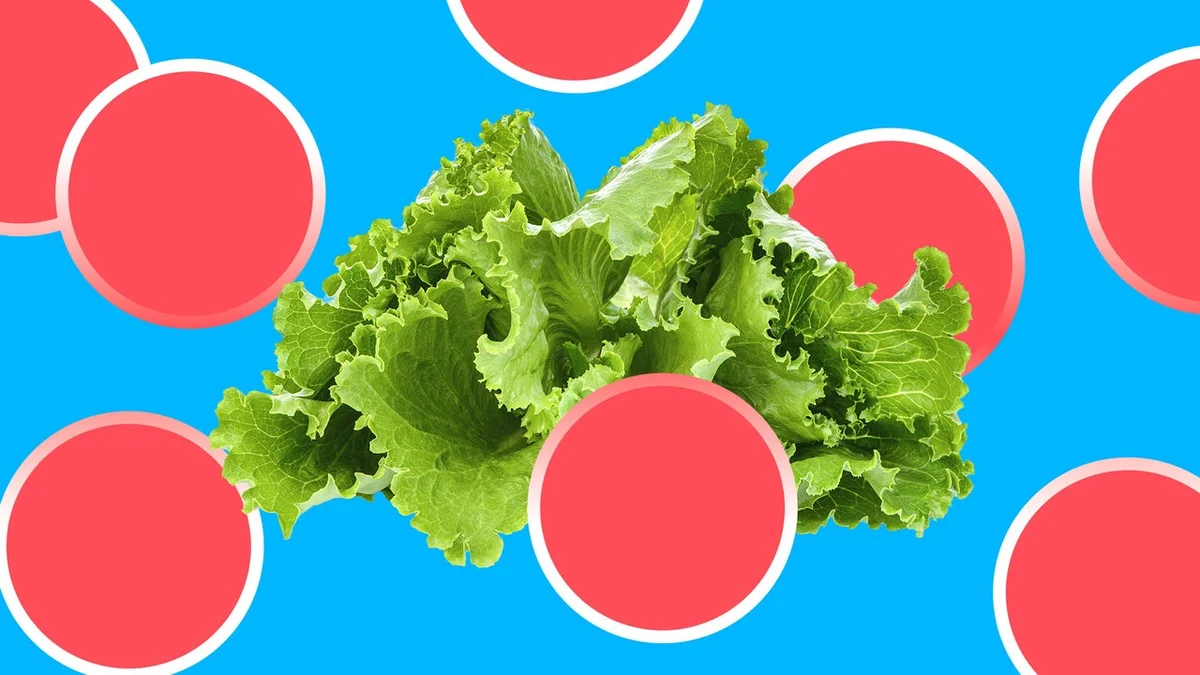 CdXz5zHNQW_LABEcDKZn3.jpeg