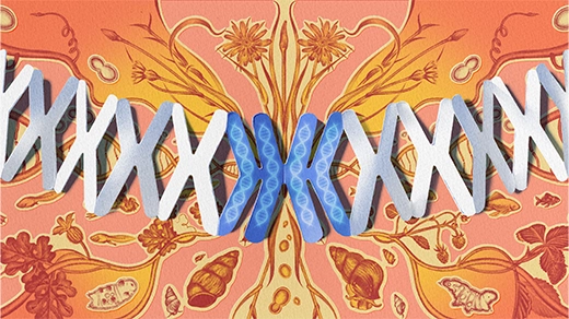 CdXz5zHNQW_NMkFiikAJC.webp