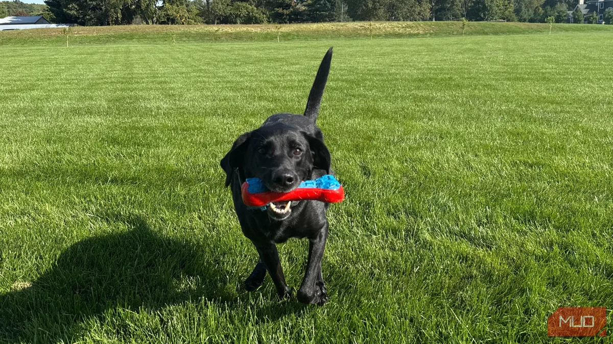 CdXz5zHNQW_RSthHQi5Rz.jpeg