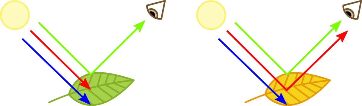 CdXz5zHNQW_SbS9C2jfIS.png