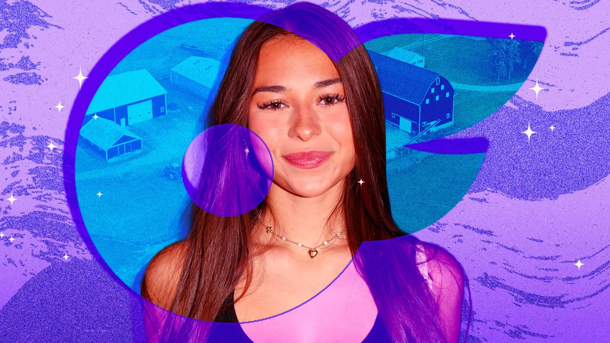 CdXz5zHNQW_Td4F8XzirW.jpeg