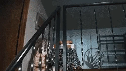 CdXz5zHNQW_Wmrgz2CccT.gif