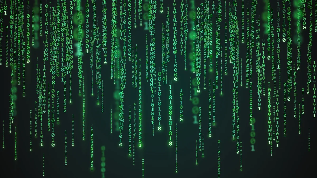 CdXz5zHNQW_bSrEDTativ.webp