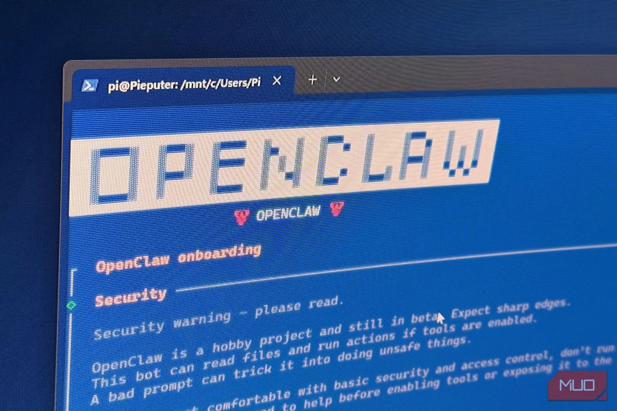 CdXz5zHNQW_hhDkWVJ9zu.jpeg
