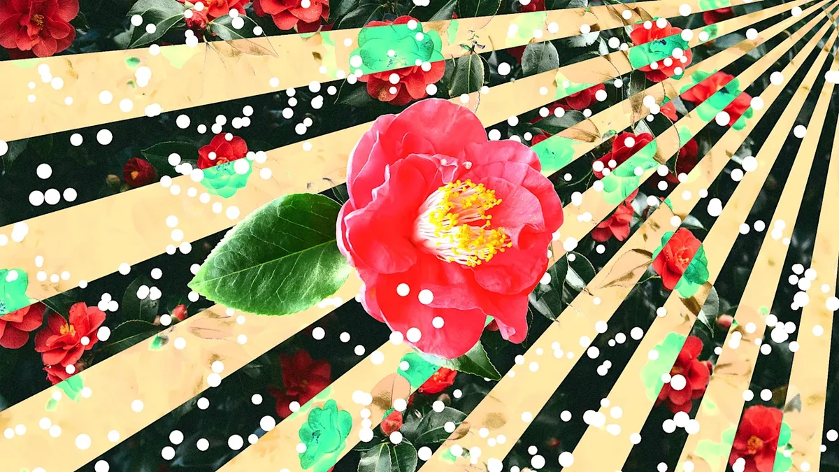 CdXz5zHNQW_n89FOtGpfG.webp