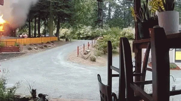 CdXz5zHNQW_sFymEZtsPk.gif