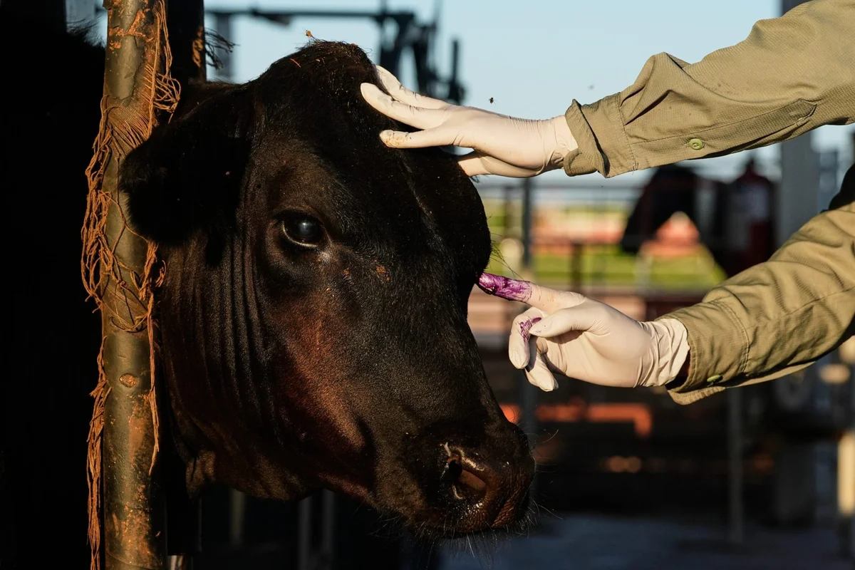 CdXz5zHNQW_z2vgcN1ReW.jpeg